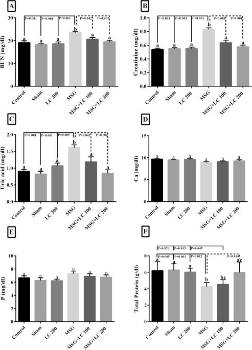 l carnitine kidney stones The effects of L-carnitine on renal function and gene expression of  caspase-9 and Bcl-2 in monosodium glutamate‐induced rats | BMC Nephrology