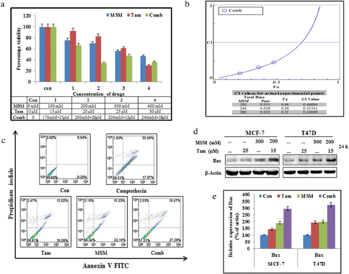 The combination of methylsulfonylmethane and tamoxifen inhibits the Jak2/STAT5b pathway and synergistically inhibits tumor growth and metastasis in ER-positive breast cancer xenografts | BMC Cancer