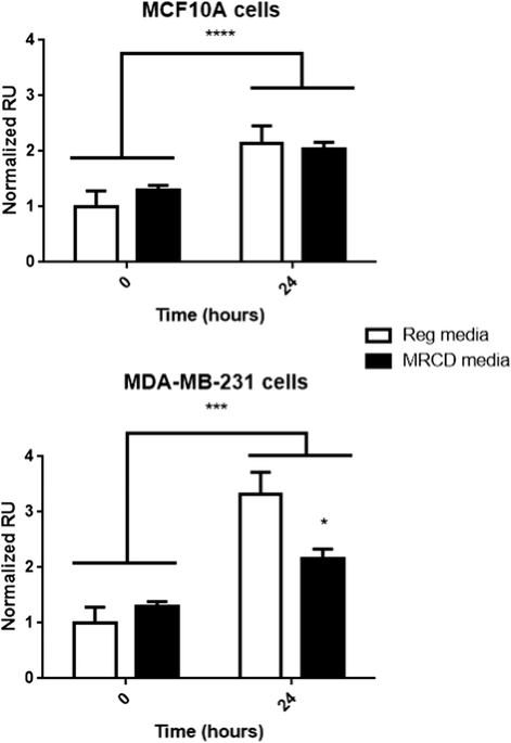 Reduce Flank Fat at Woburn, MA