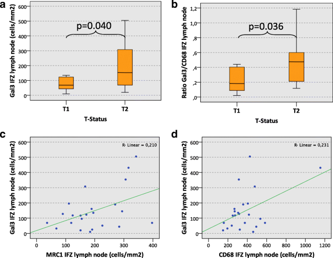 Macrophage cell counts (cells per mm2) in biopsy and tumour resection