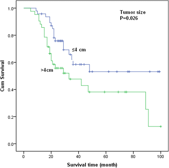 Clinicopathological Characteristics and Prognosis of 91 Patients