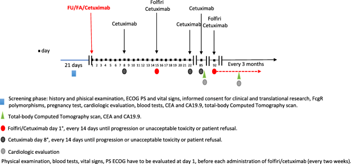 Cetuximab, irinotecan and fluorouracile in fiRst-line treatment of