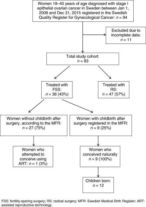A Swedish Nationwide prospective study of oncological and reproductive  outcome following fertility-sparing surgery for treatment of early stage  epithelial ovarian cancer in young women | BMC Cancer | Full Text