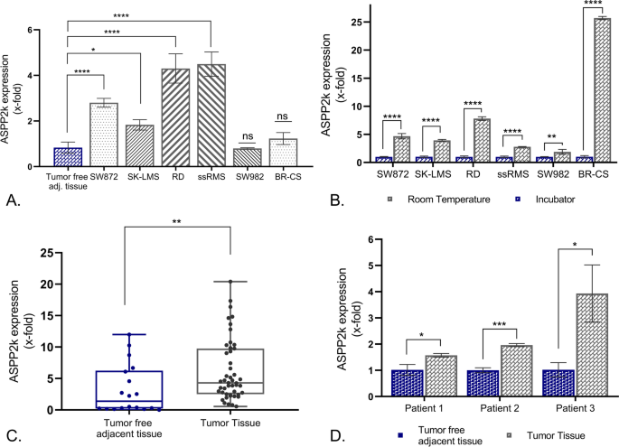 Alternative splicing of Apoptosis Stimulating Protein of TP53-2 (ASPP2) results in an oncogenic isoform promoting migration and therapy resistance in soft tissue sarcoma (STS)