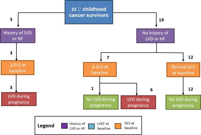 Long-term Cardiovascular Toxicity in Children, Adolescents, and