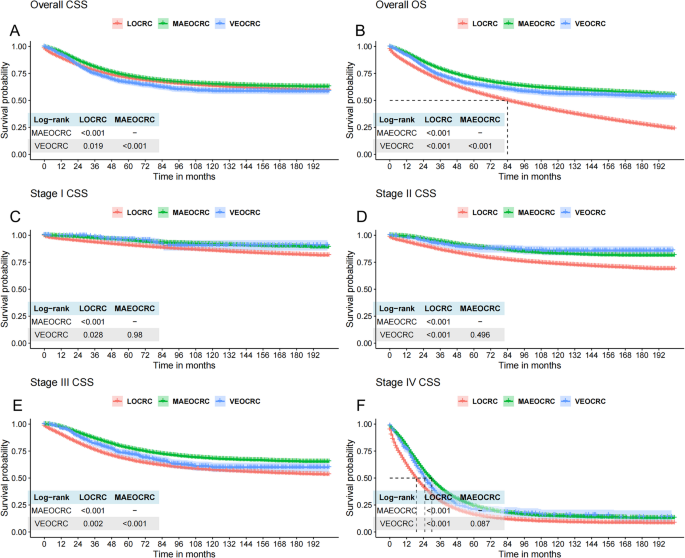 Distinct clinical features and epidemiological trends of very early and middle-aged early onset colorectal cancer based on SEER 17 and GBD 2021 data over the past 15 years