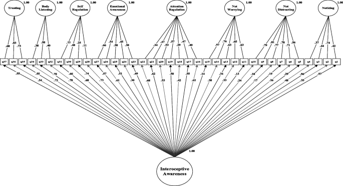 PDF) Methodological Articles Validação Portuguesa do Multidimensional  Assessment of Interoceptive Awareness (MAIA) Portuguese Validation of the  Multidimensional Assessment of Interoceptive Awareness (MAIA)