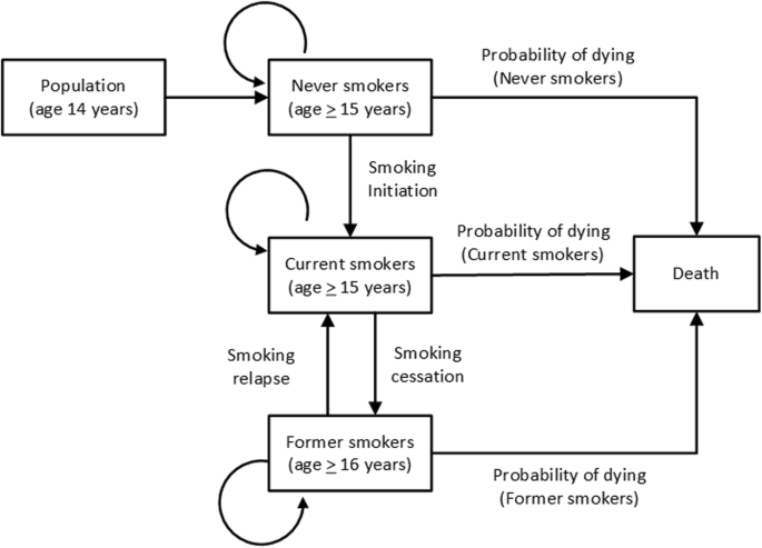 Smoking prevalence and attributable deaths in Thailand: predicting outcomes  of different tobacco control interventions | BMC Public Health
