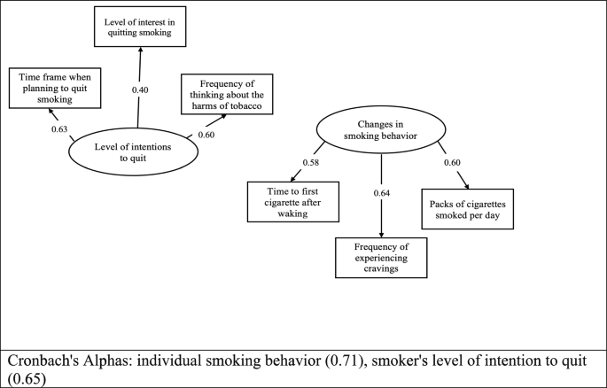 Frontiers  Pictures Library of Smoking Cravings: Development and  Verification of Smokers and Non-smokers