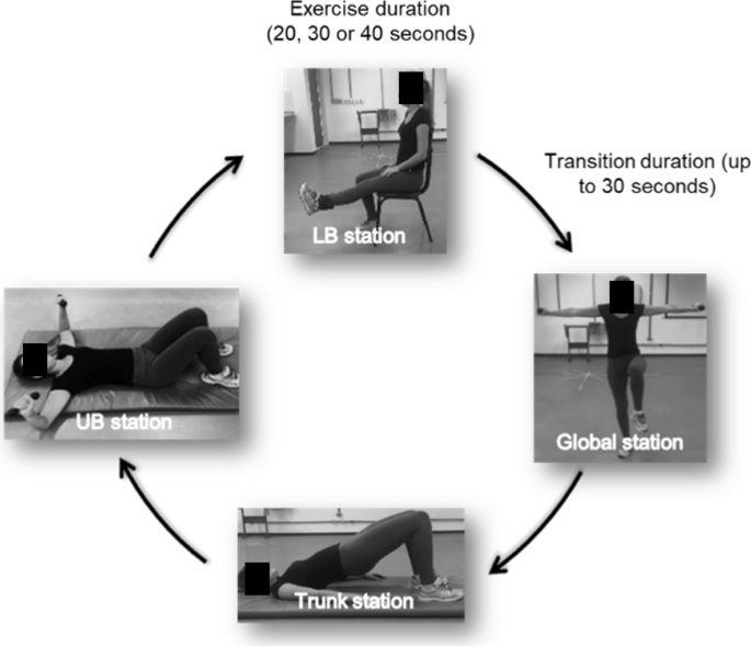 PDF) Influence of a periodized circuit training protocol on intermuscular  adipose tissue of patients with knee osteoarthritis: Protocol for a  randomized controlled trial