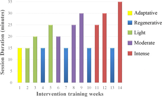 PDF) Influence of a periodized circuit training protocol on intermuscular  adipose tissue of patients with knee osteoarthritis: Protocol for a  randomized controlled trial