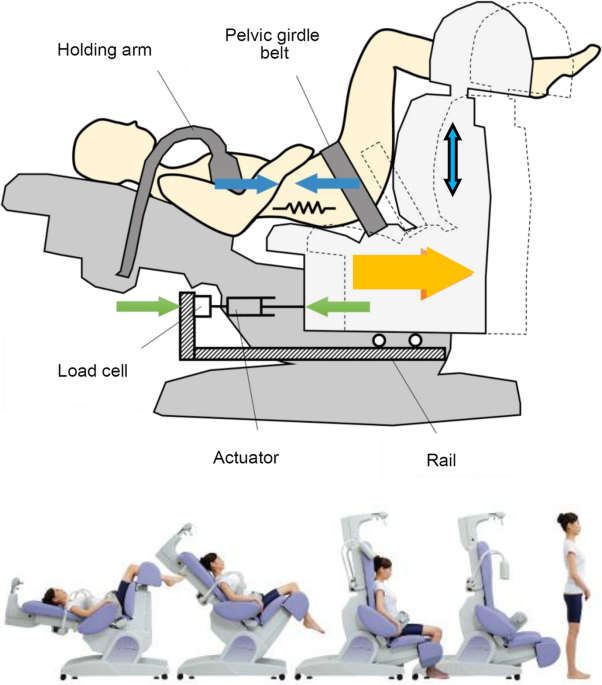 Lumbar mechanical traction: a biomechanical assessment of change at the  lumbar spine, BMC Musculoskeletal Disorders