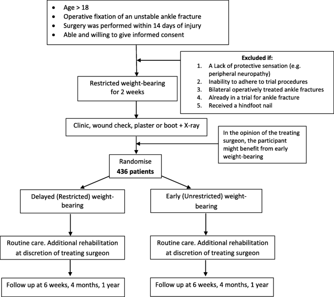 Protocol for the Weight-bearing in Ankle Fractures (WAX) trial: a  multicentre prospective non-inferiority trial of early versus delayed  weight-bearing after operatively managed ankle fracture, BMC  Musculoskeletal Disorders