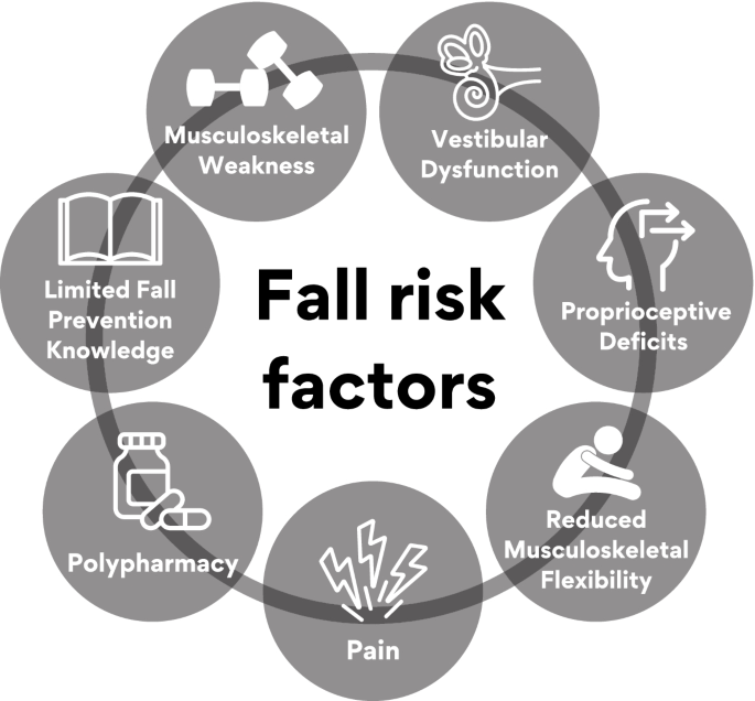 A systematic review of chiropractic care for fall prevention: rationale,  state of the evidence, and recommendations for future research, BMC  Musculoskeletal Disorders