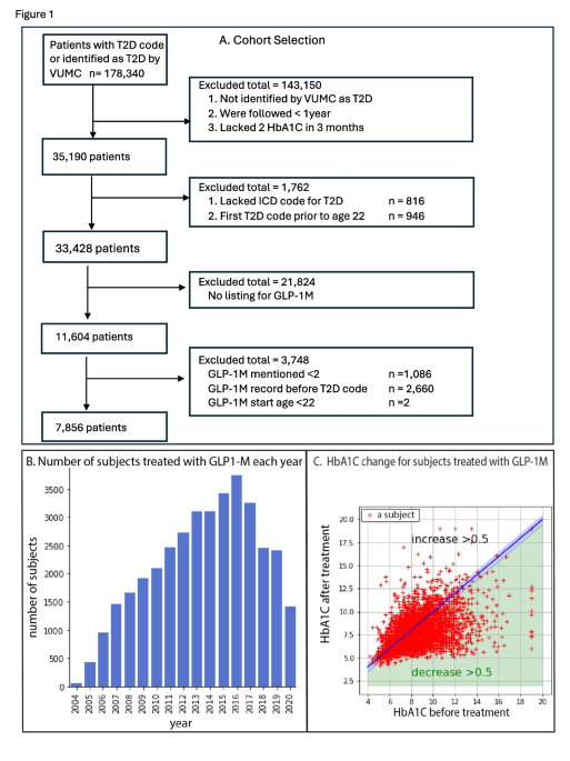 non responder to glp 1 Predicting responsiveness to GLP-1 pathway drugs using real-world data |  BMC Endocrine Disorders