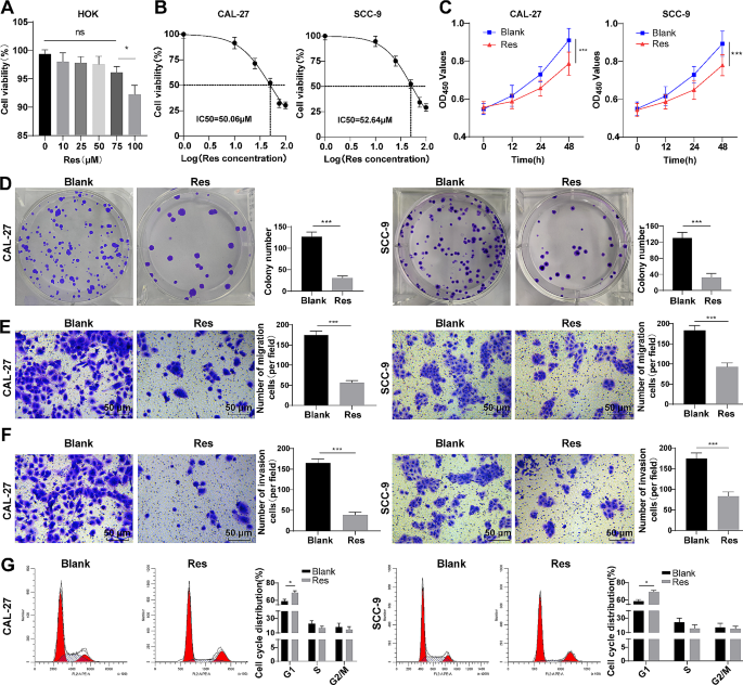 Effect and mechanism of resveratrol on ferroptosis mediated by p53/SLC7A11 in oral squamous cell carcinoma | BMC Oral Health | Springer Nature Link Effect and mechanism of resveratrol on ferroptosis mediated by p53/SLC7A11 in oral squamous cell carcinoma | BMC Oral Health | Springer Nature Link