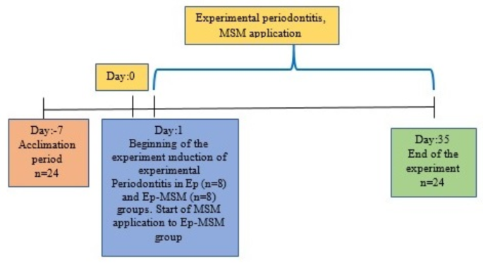 Investigation of the preventive effect of methylsulfonylmethane on alveolar  bone loss and oxidative stress in a rat model of periodontitis | BMC Oral  Health