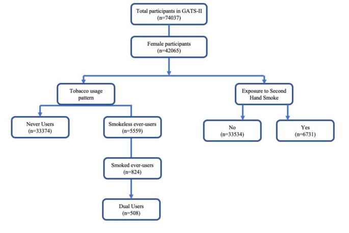 independent variable of cigarette smoking Variations in the patterns of tobacco usage among indian females - findings from the global adult tobacco survey India | BMC Women's Health independent variable of cigarette smoking Variations in the patterns of tobacco usage among indian females - findings from the global adult tobacco survey India | BMC Women's Health