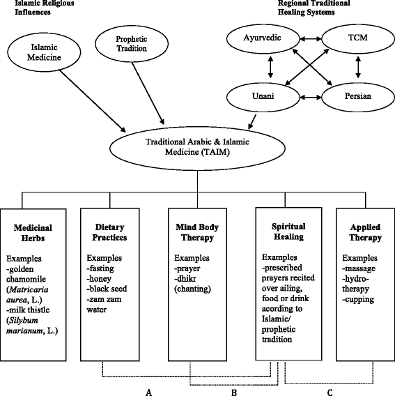 A comprehensive perspective of traditional Arabic or Islamic medicinal  plants as an adjuvant therapy against COVID-19 - ScienceDirect