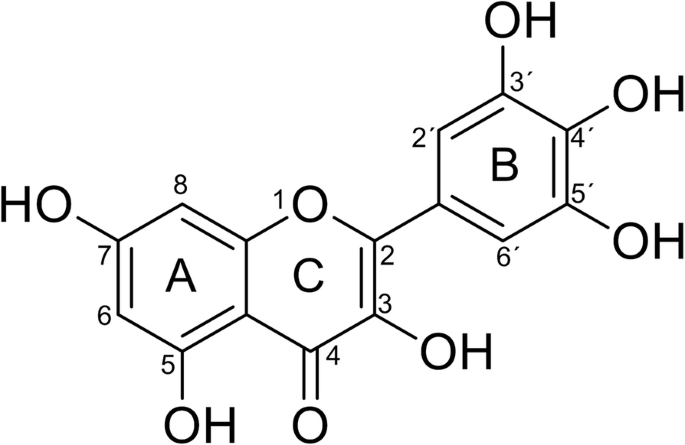 glp 1 makes me sick Are We Using GLP-1 Medications All Wrong? with Dr. Ben Bikman