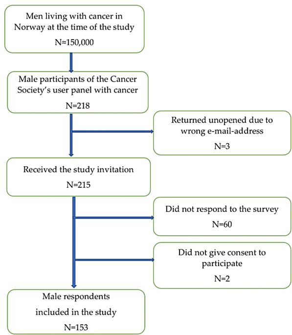 Exploring men’s cancer journeys in Norway: a comprehensive survey on diet, supplements, and use of complementary and alternative therapies