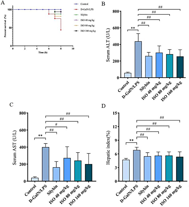 Isorhamnetin protects against D-GalN/LPS-induced acute liver injury in mice through anti-oxidative stress, anti-inflammation, and anti-apoptosis | BMC Complementary Medicine and Therapies