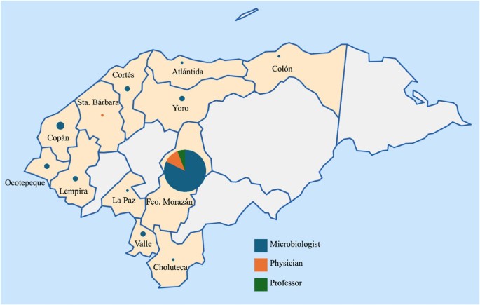 Teaching about dermatophytosis in the era of antifungal resistance: design, implementation, and evaluation of a multidisciplinary workshop in Honduras