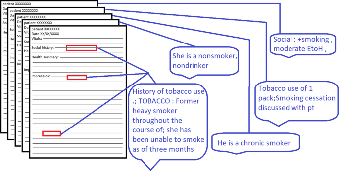 aotearoa data explorer cigarette smoking behaviour ex-smoker regional council Building a tobacco user registry by extracting multiple smoking behaviors  from clinical notes | BMC Medical Informatics and Decision Making