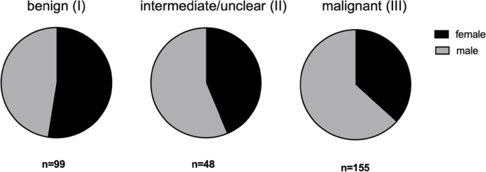 Diagnostic delay in soft tissue tumors: a single-center study of a  university cancer center with a focus on health services research, BMC  Health Services Research