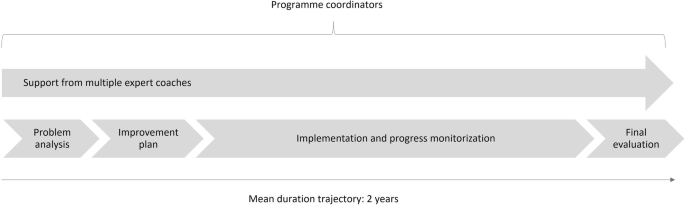 Improving the quality of care in nursing home organizations with urgent  quality issues: design and effectiveness of a Dutch government-funded  support programme | BMC Health Services Research | Full Text