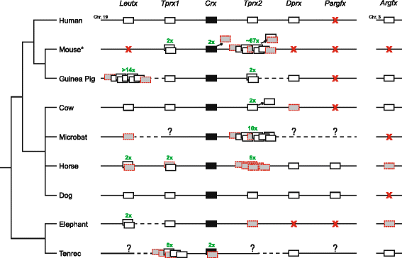Relationships between homeoprotein EGAM1C and the expression of the  placental prolactin gene family in mouse placentae and trophoblast stem  cells in: Reproduction Volume 141 Issue 2 (2011)