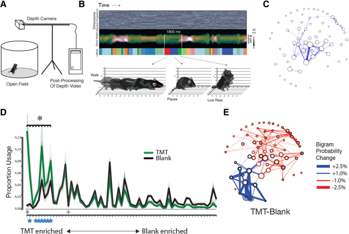 A three-dimensional virtual mouse generates synthetic training data for  behavioral analysis