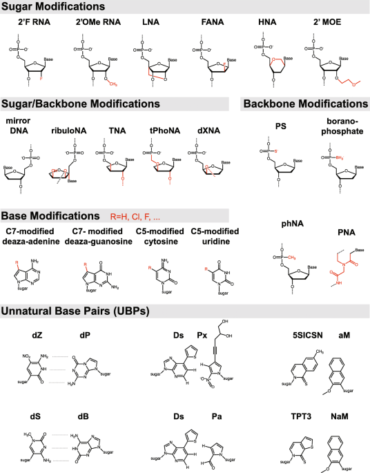 Disease Diagnosis Based on Nucleic Acid Modifications