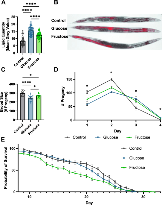glutathione and endothelial function Glutathione Participation in the Prevention of Cardiovascular Diseases