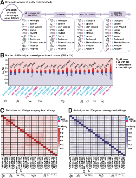 Shared and niche-specific transcriptional signatures of macrophage aging revealed by a cross-tissue meta-analysis - BMC Biology