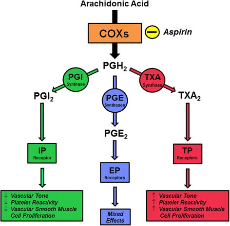 does aspirin deplete glutathione Does ibuprofen deplete glutathione? main image 1
