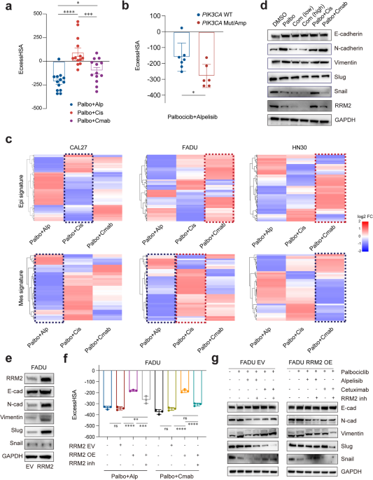 A cell-based high-throughput screen identifies drugs that cause