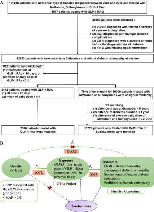 glp 1 agonist metformin Glucagon-like peptide-1 receptor agonists and diabetic retinopathy:  nationwide cohort and Mendelian randomization studies | BMC Medicine