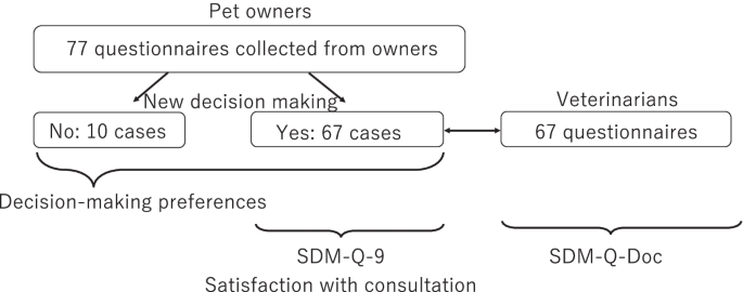 The relationship between evaluation of shared decision-making by pet owners and veterinarians and satisfaction with veterinary consultations