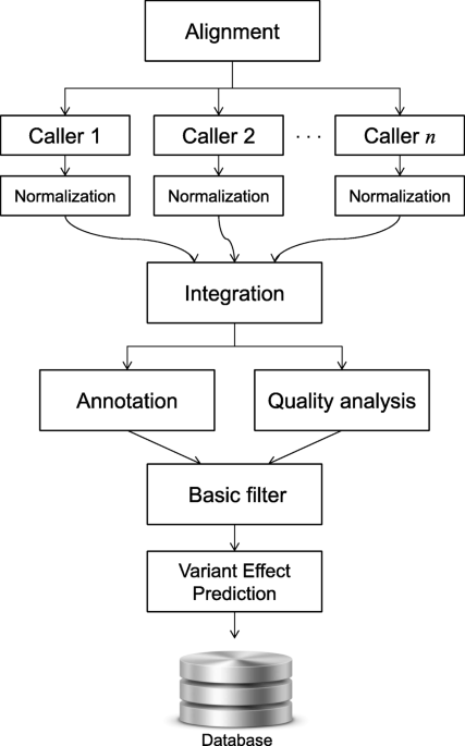 AMLVaran: a software approach to implement variant analysis of targeted NGS  sequencing data in an oncological care setting | BMC Medical Genomics |  Full Text