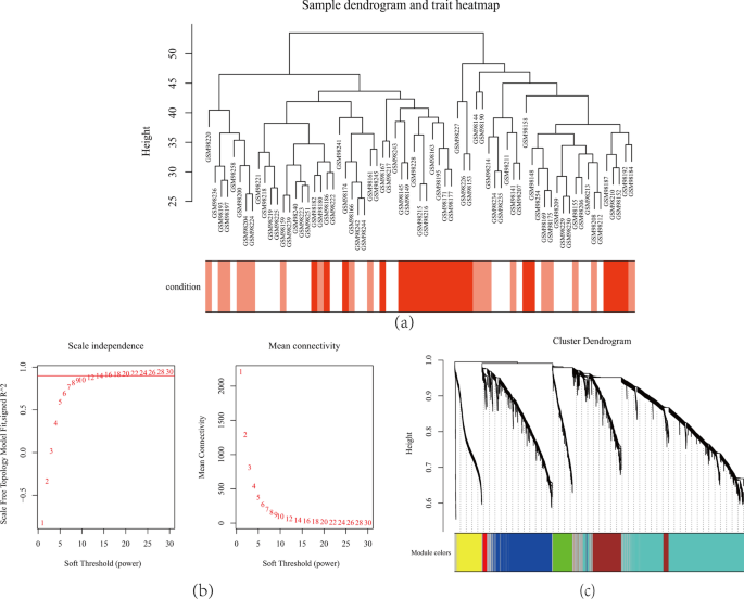 A and B) Analysis of the scale-free fit index and the mean