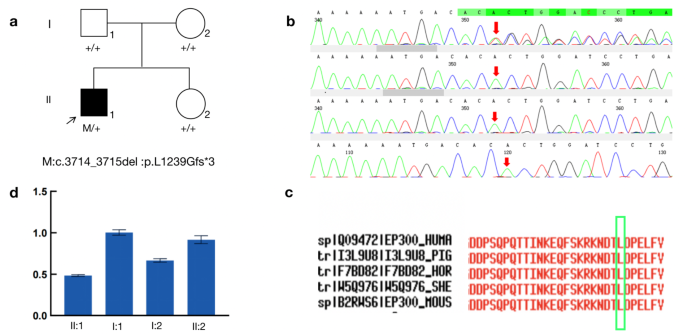 PDF) Identification of de novo EP300 and PLAU variants in a