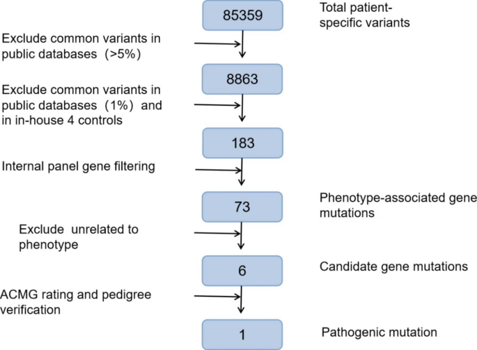 A case with Rubinstein-Taybi syndrome: A novel frameshift mutation