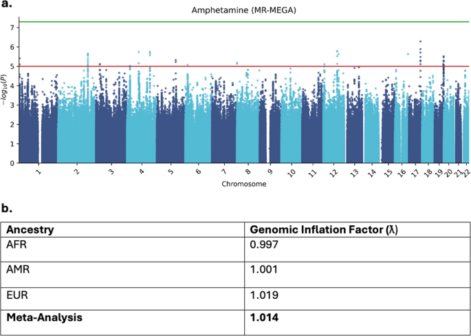 A genome-wide association study of methamphetamine use among people with HIV