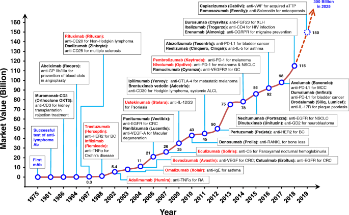 Opportunities for therapeutic antibodies directed at G-protein