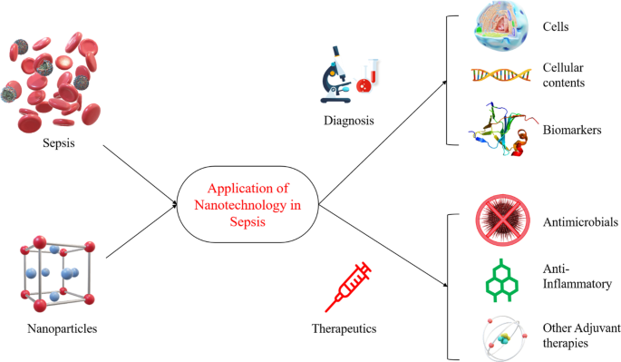 PDF) Sepsis in Burns—Lessons Learnt from Developments in the Management of  Septic Shock