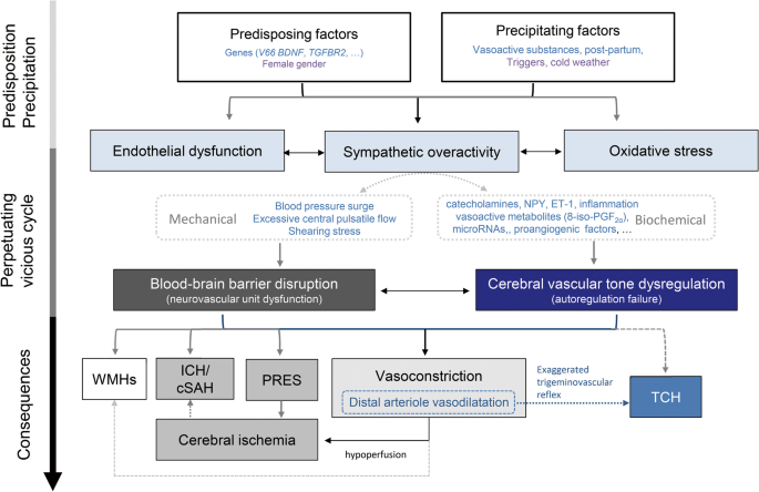 Reversible Cerebral Vasoconstriction Syndrome