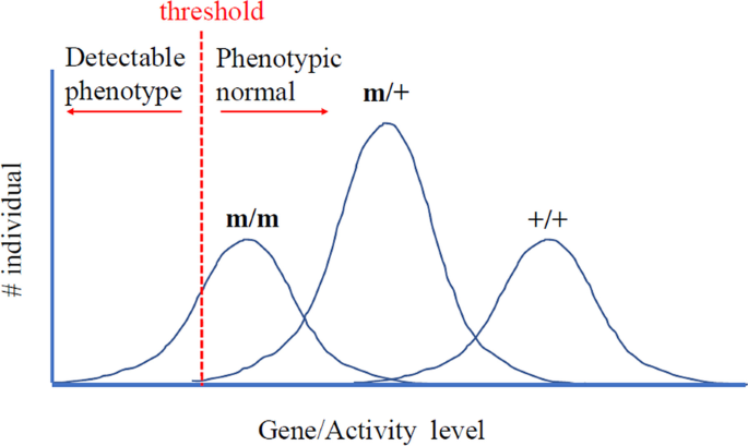 Phenotypic heterogeneity in human genetic diseases