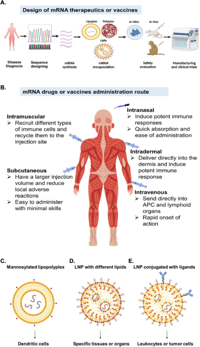 Avance Clinical Featured in Fierce Biotech on Intranasal Expertise - Avance  Clinical