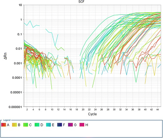 The expression of stem cell factor and c‐kit receptor in human